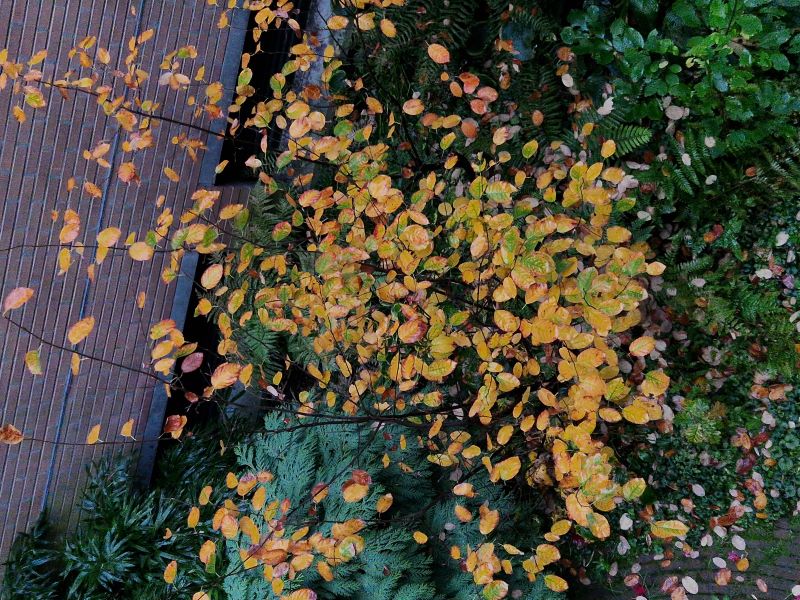 20251014_183131-2-rotated.jpg